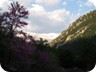 Papingut, the summit of Mali e Nemerckës, seen from the canyon, in early May. Snow covers the peaks, while plum trees in the valley are in blossom