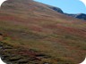 The slopes of Velivar, covered in red patches...