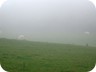 Nebel bei Mariawald